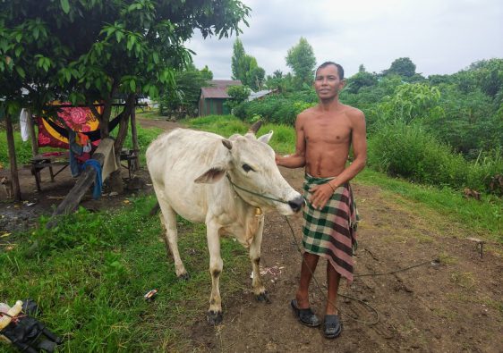 landmine survivors cow breeding