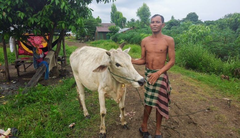 landmine survivors cow breeding