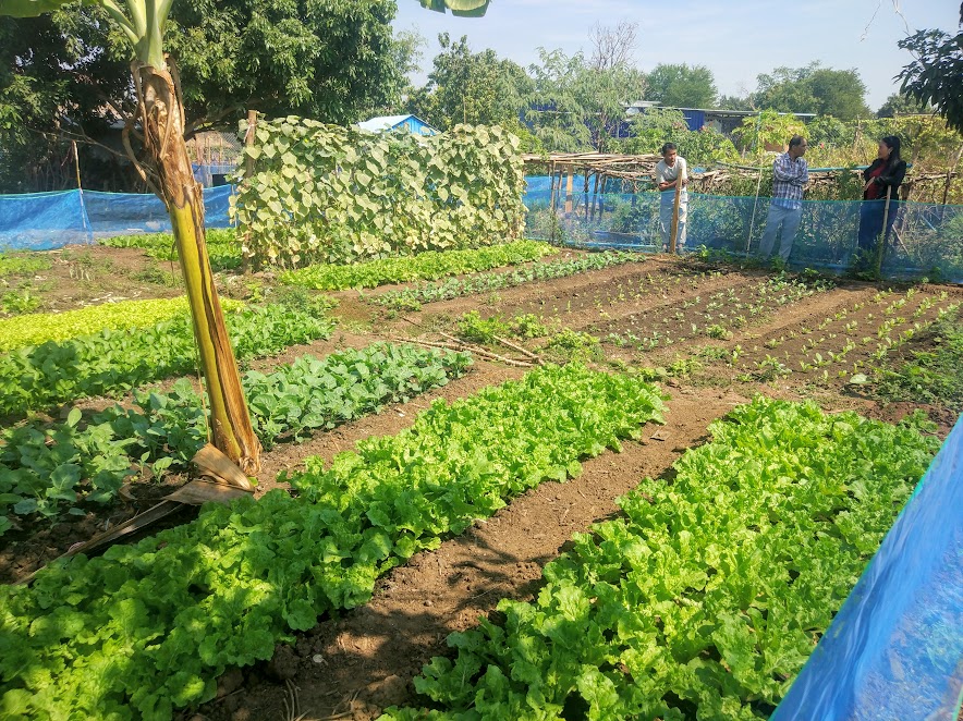 small scale farming